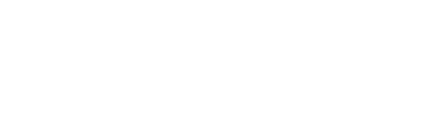 Cyber Forte cybersecurity company Australia logo