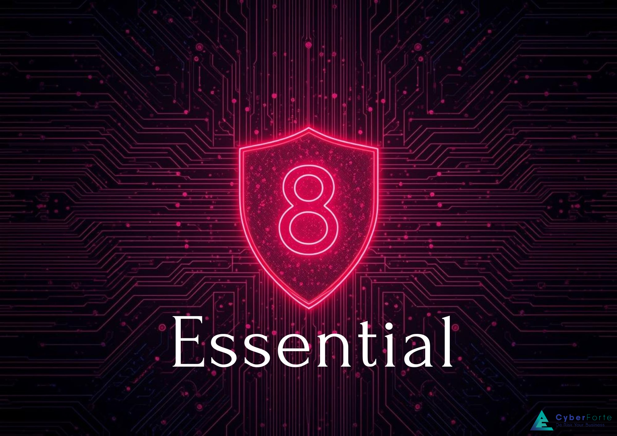The Essential Eight